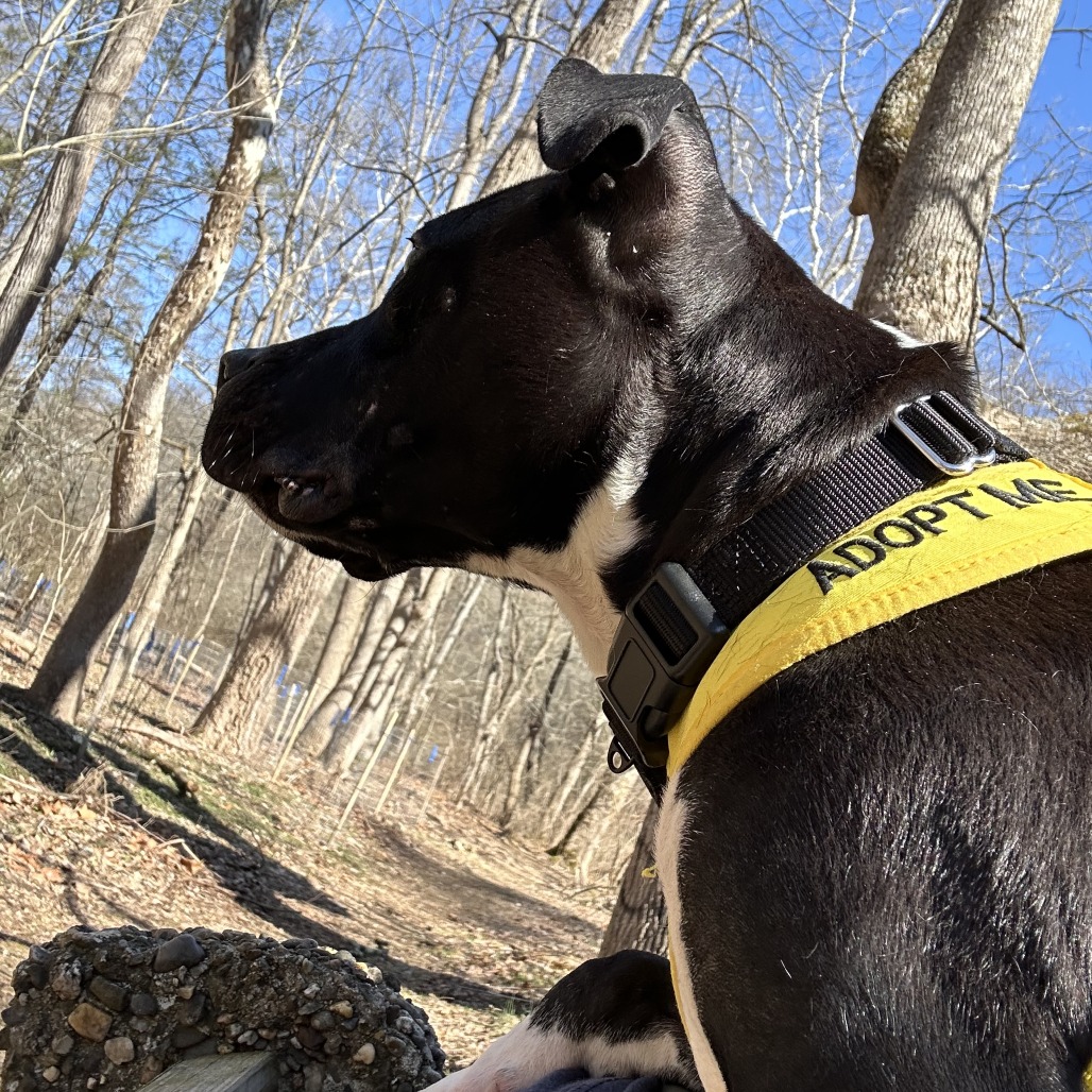 Daria — thumbnail 4