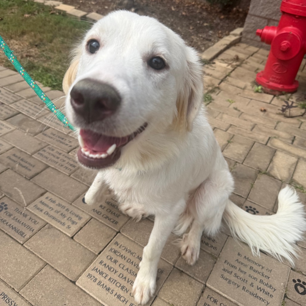 Sally 