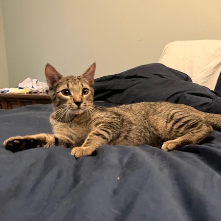 Pixel