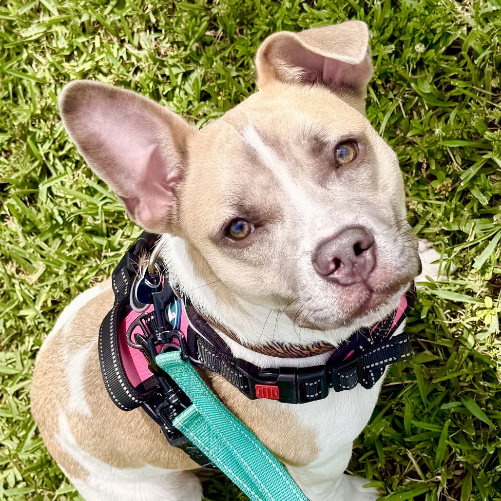 Another portrait of Billy