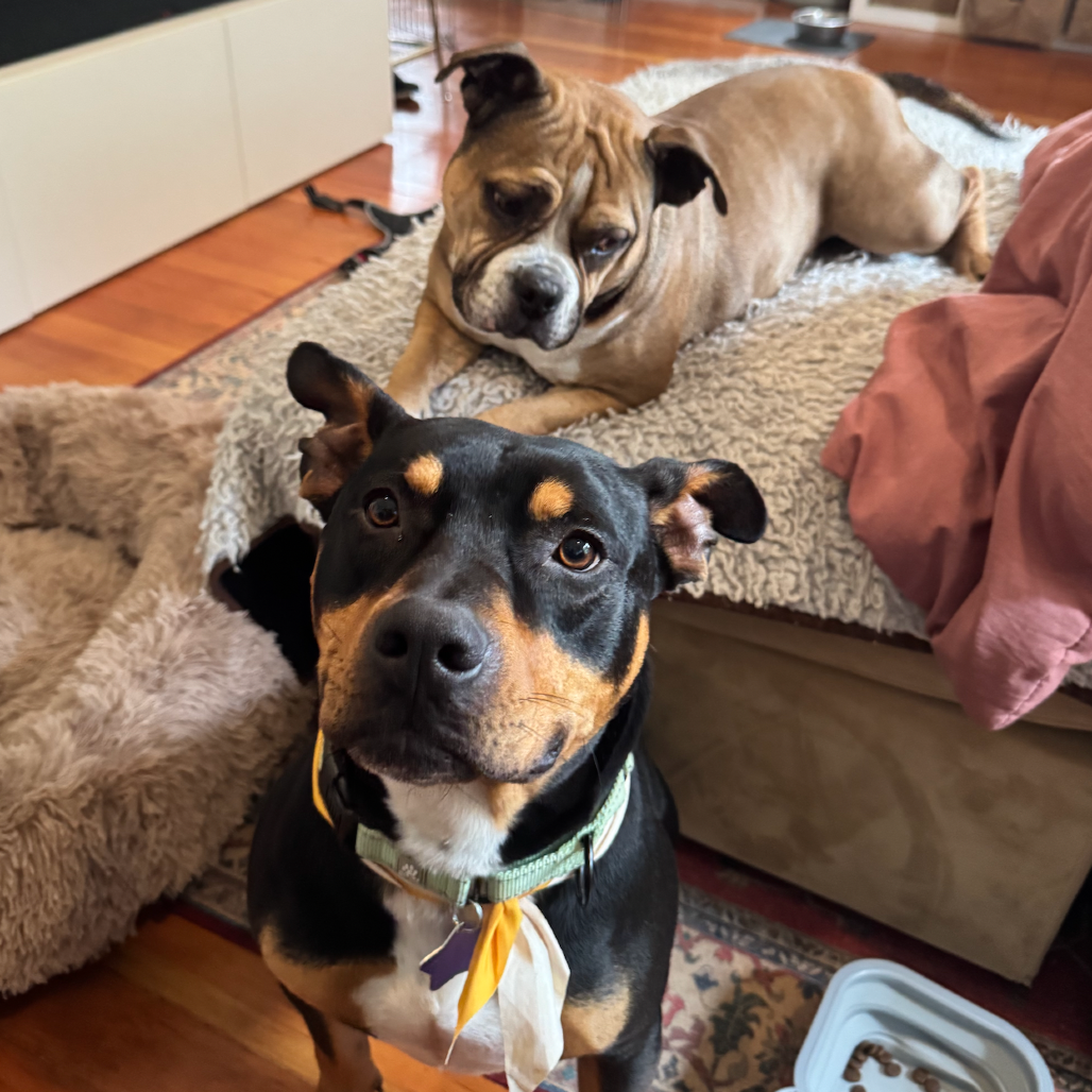 Mr. Beans — thumbnail 5