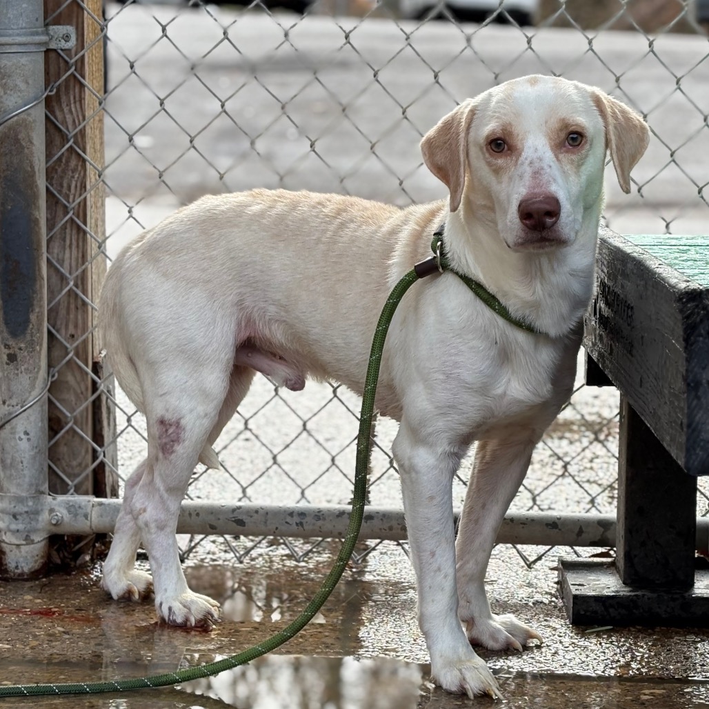 Tid-bit — thumbnail 3