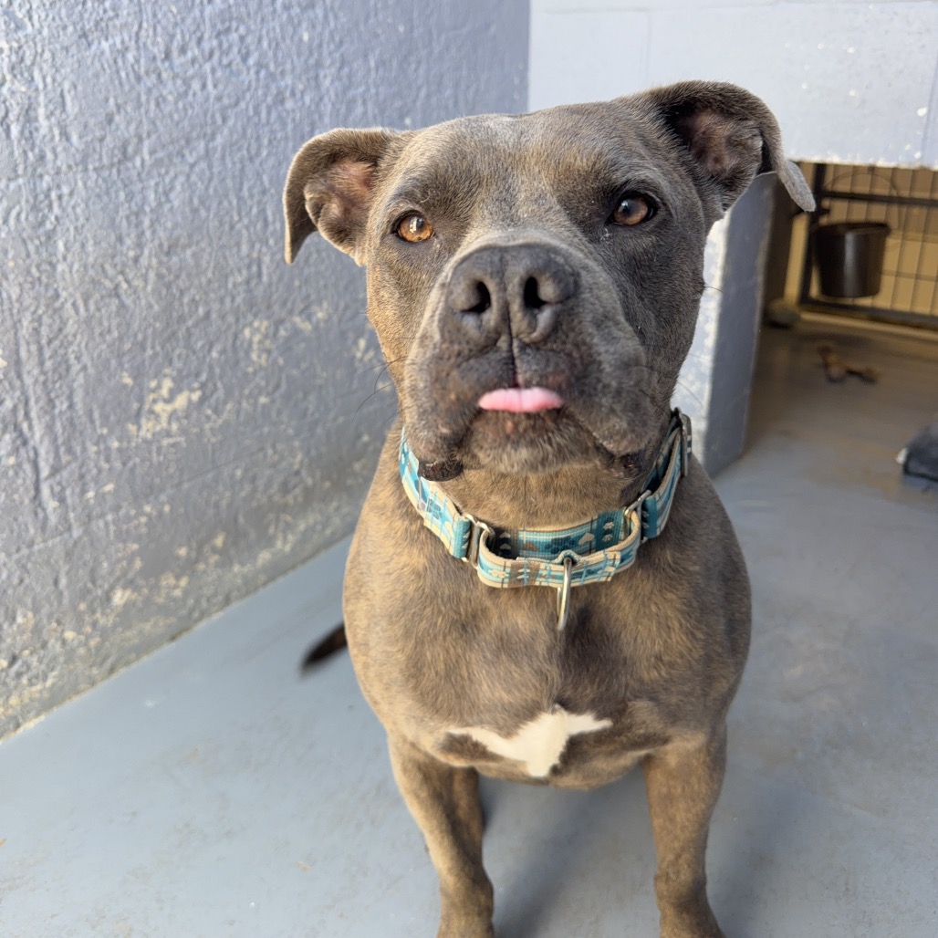 NALA BELL, photo 10