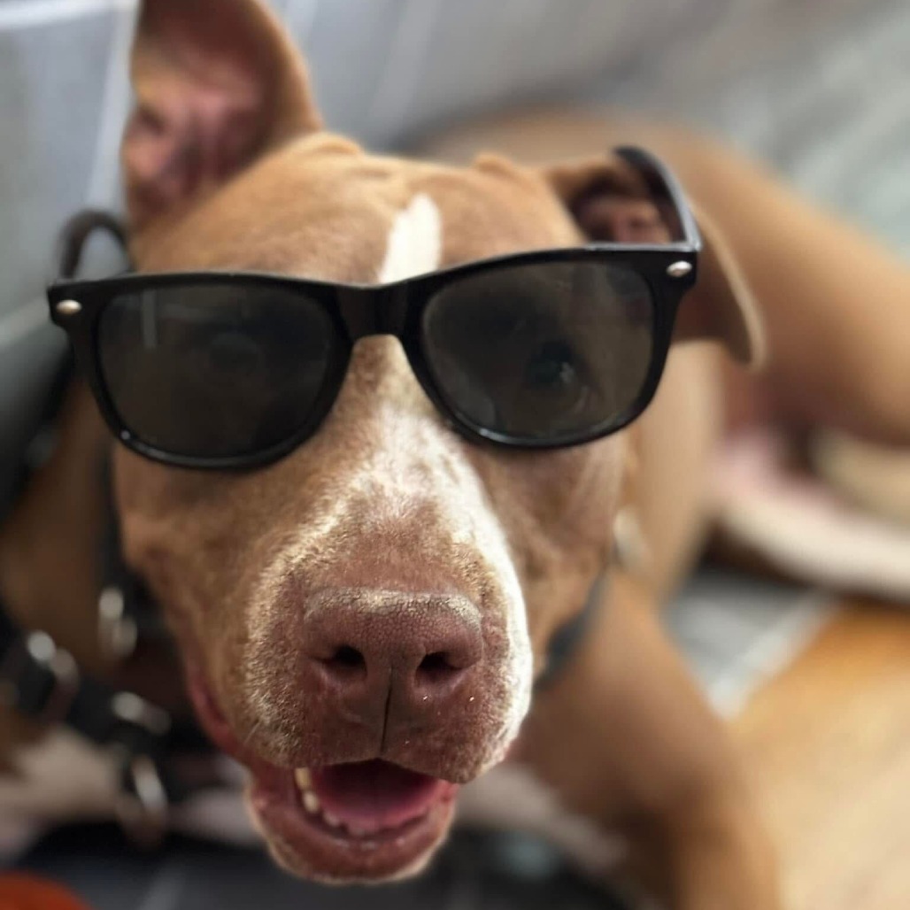 Princess Cheese Puff — thumbnail 11