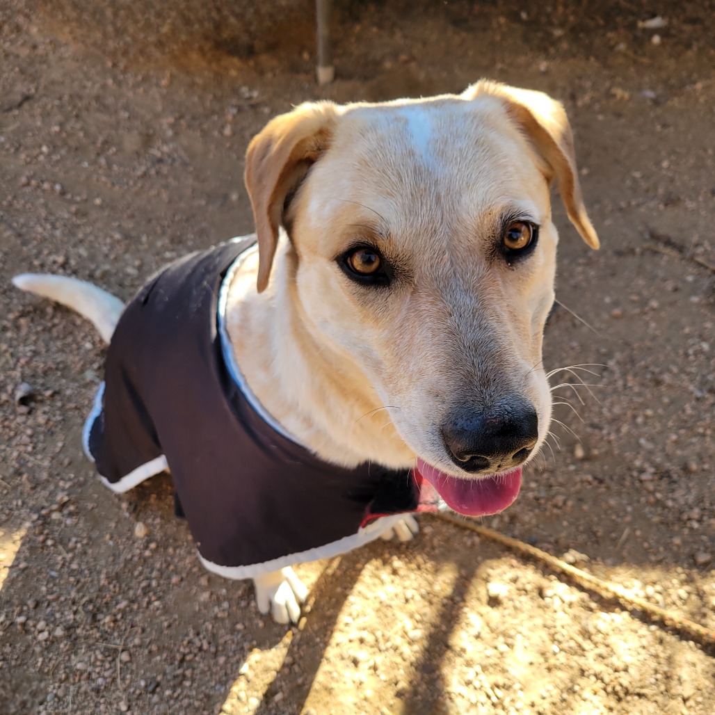 Amelia Earhart — thumbnail 10