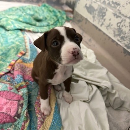 Happy — thumbnail 2