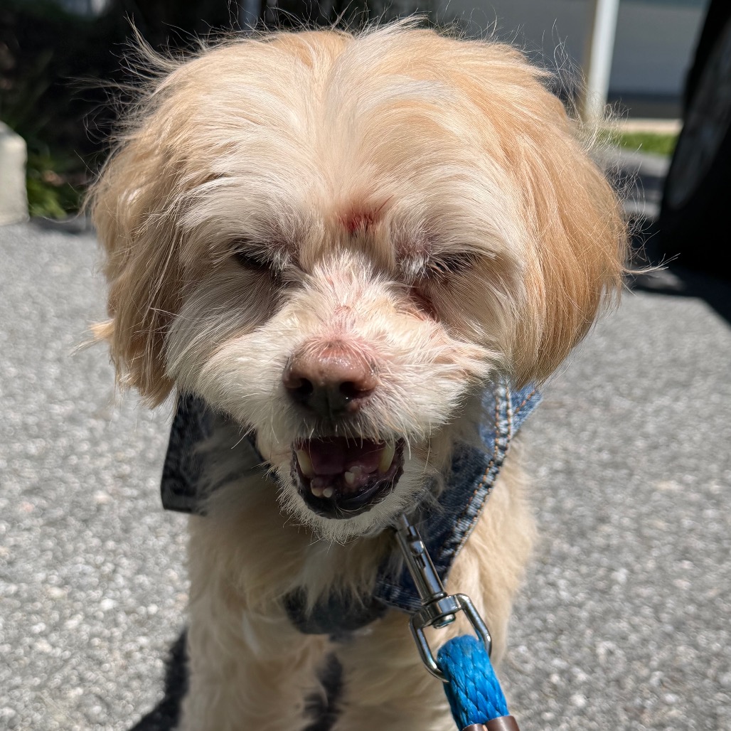 Crouton (Jelani), photo 32