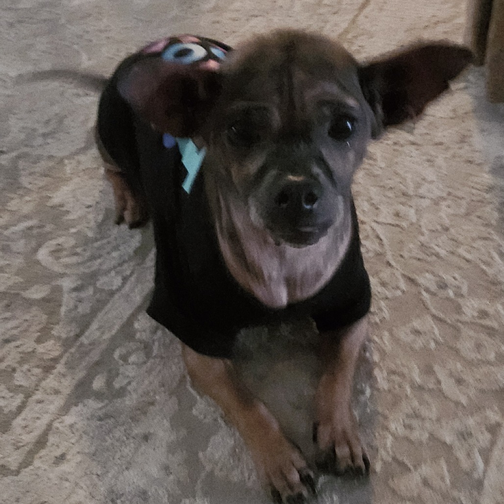 Kodak — thumbnail 5