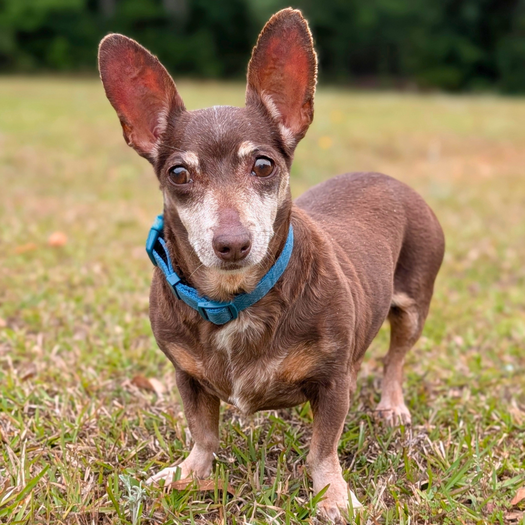 Coco 04-2822