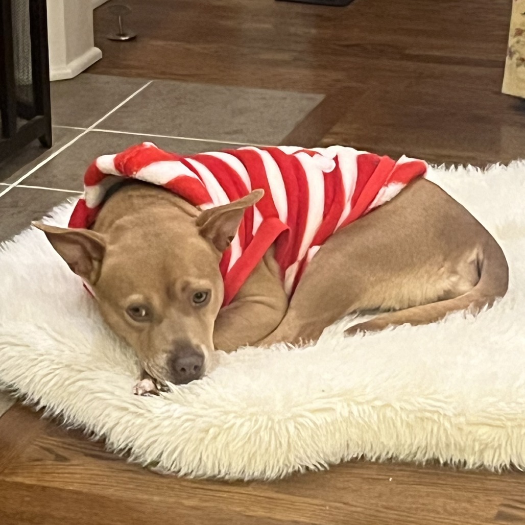 Honey — thumbnail 8