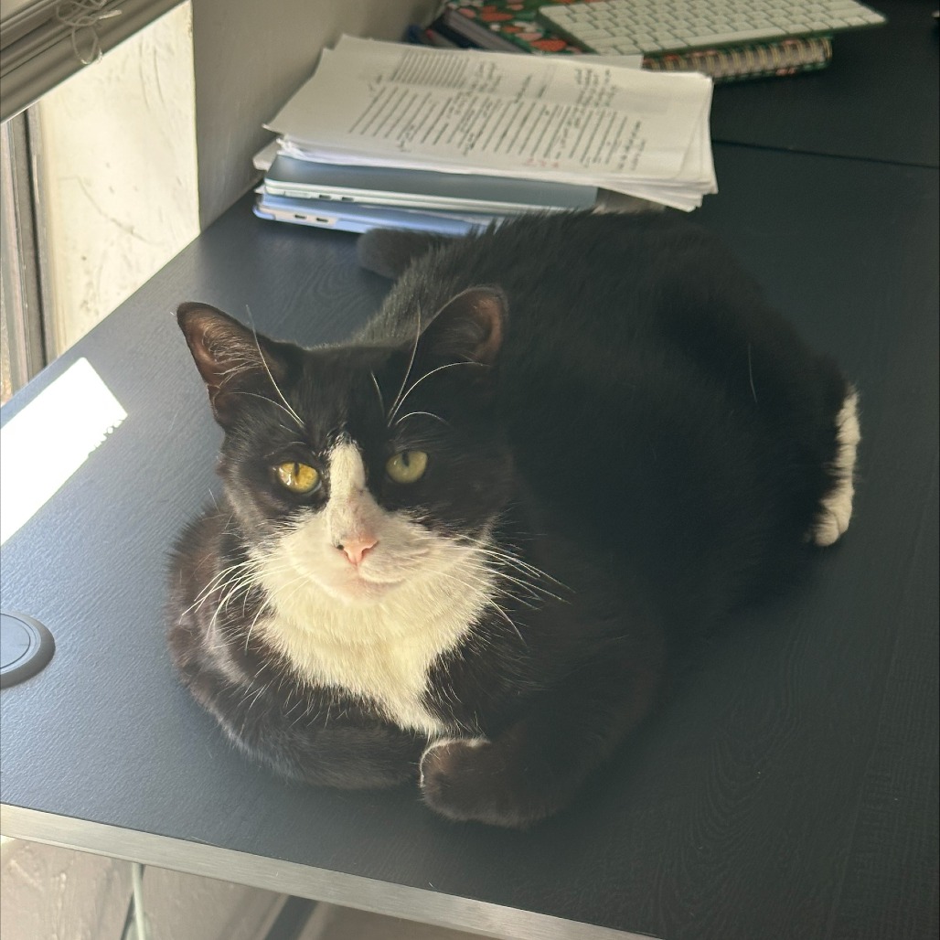 Margie, photo 7