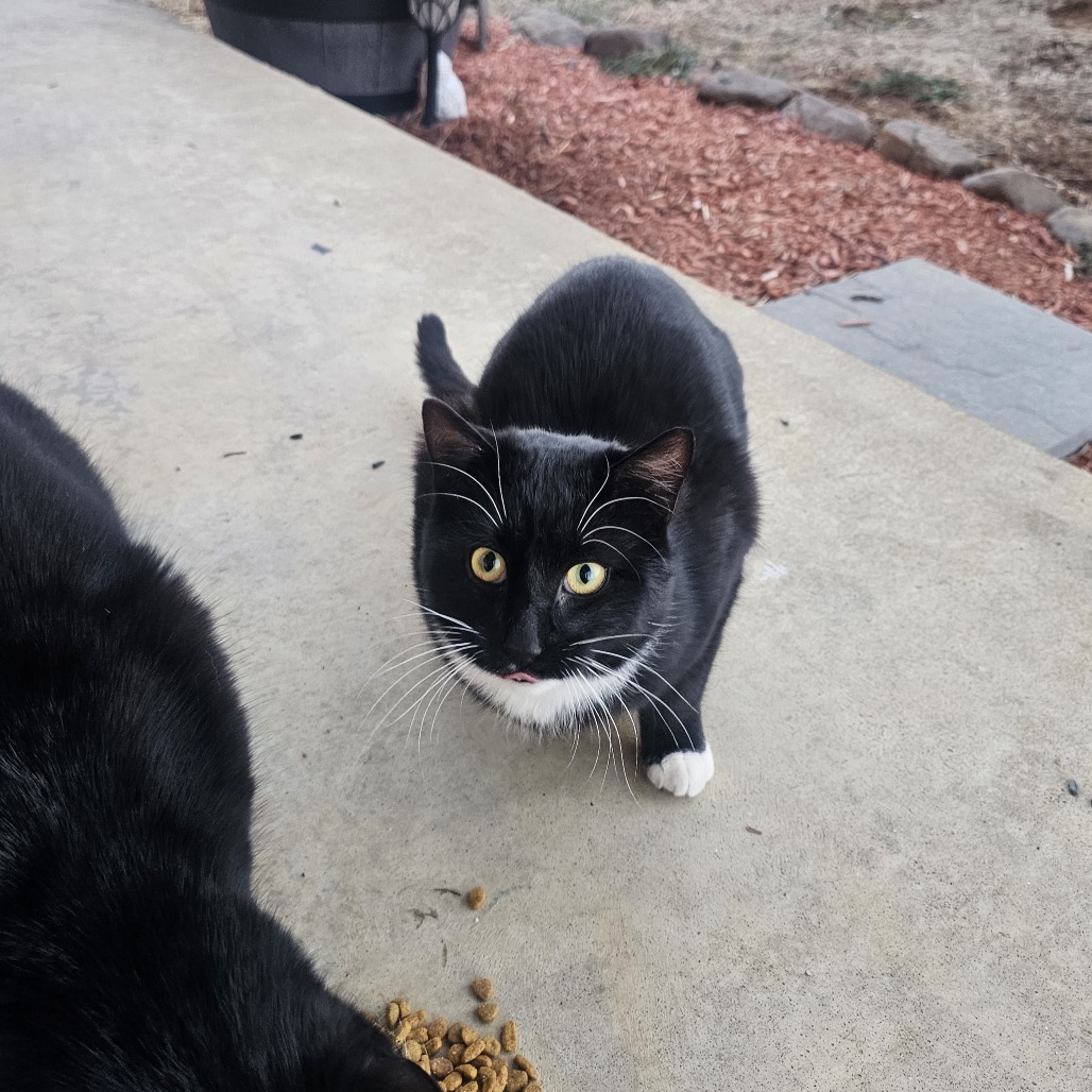 Echo — thumbnail 2