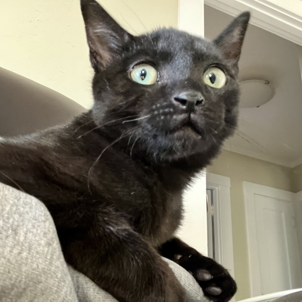 WILBERT, photo 3