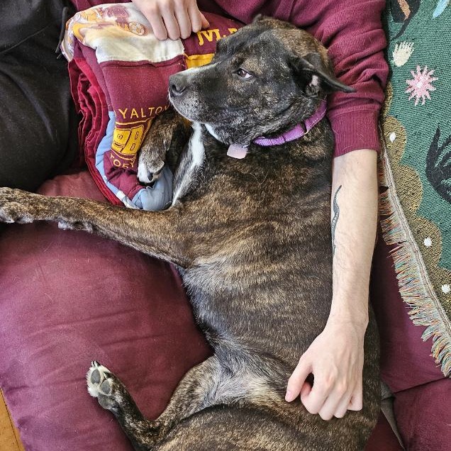 Baby Girl--In Foster, photo 3
