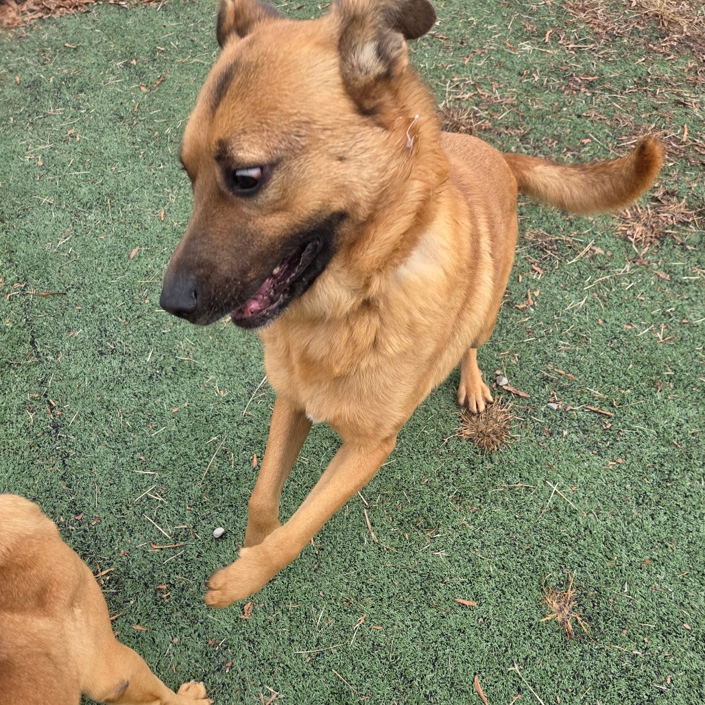 Sponge Bob — thumbnail 4