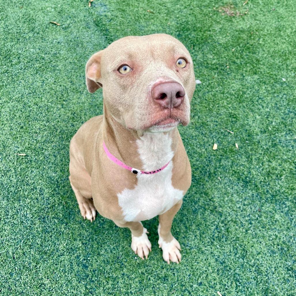 CASSIDY — thumbnail 3