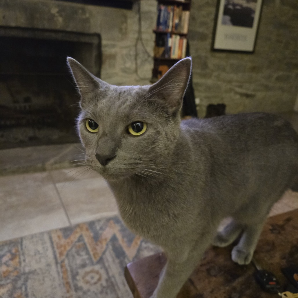 Photo of Mila 4