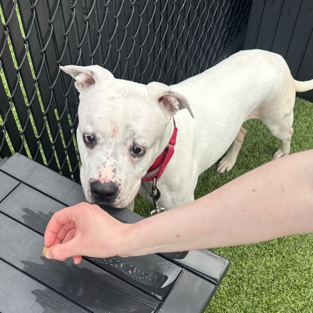 Photo of Betty White 3