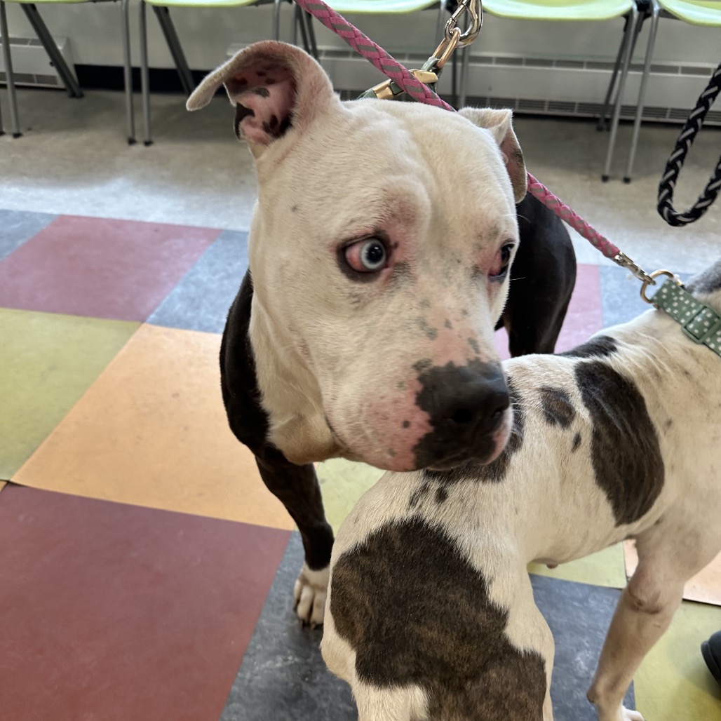 Carter Woolums — thumbnail 2