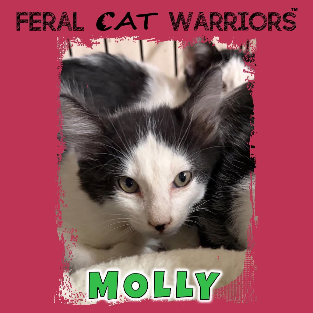 Molly