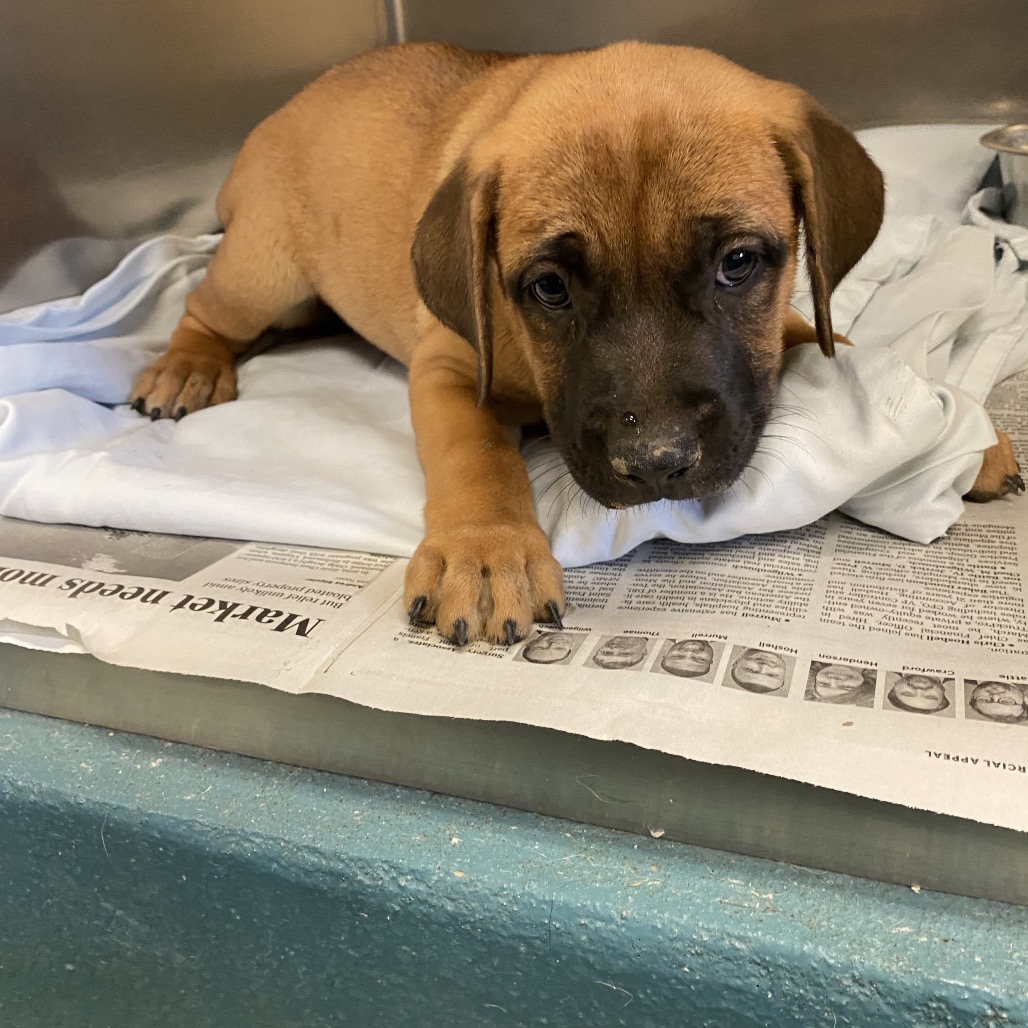 ELISE — thumbnail 8