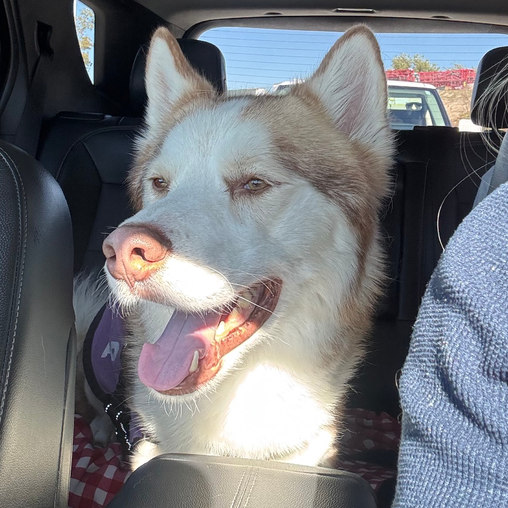 Ragnar, photo 2