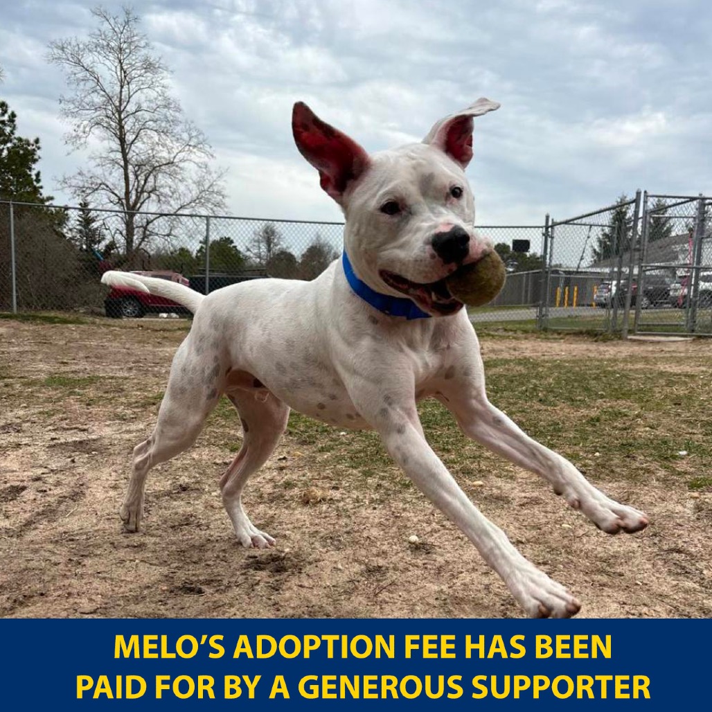 Melo