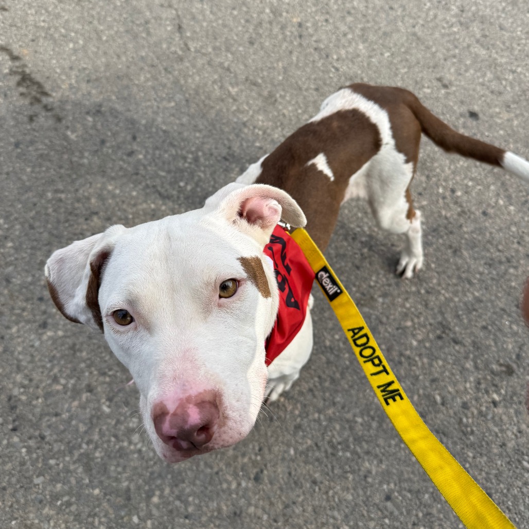 Mika — thumbnail 3