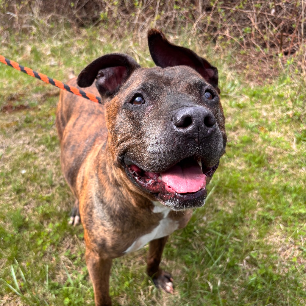 21650369f75e8084506f9d0c828a7679