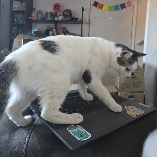 Amber Drop — thumbnail 8