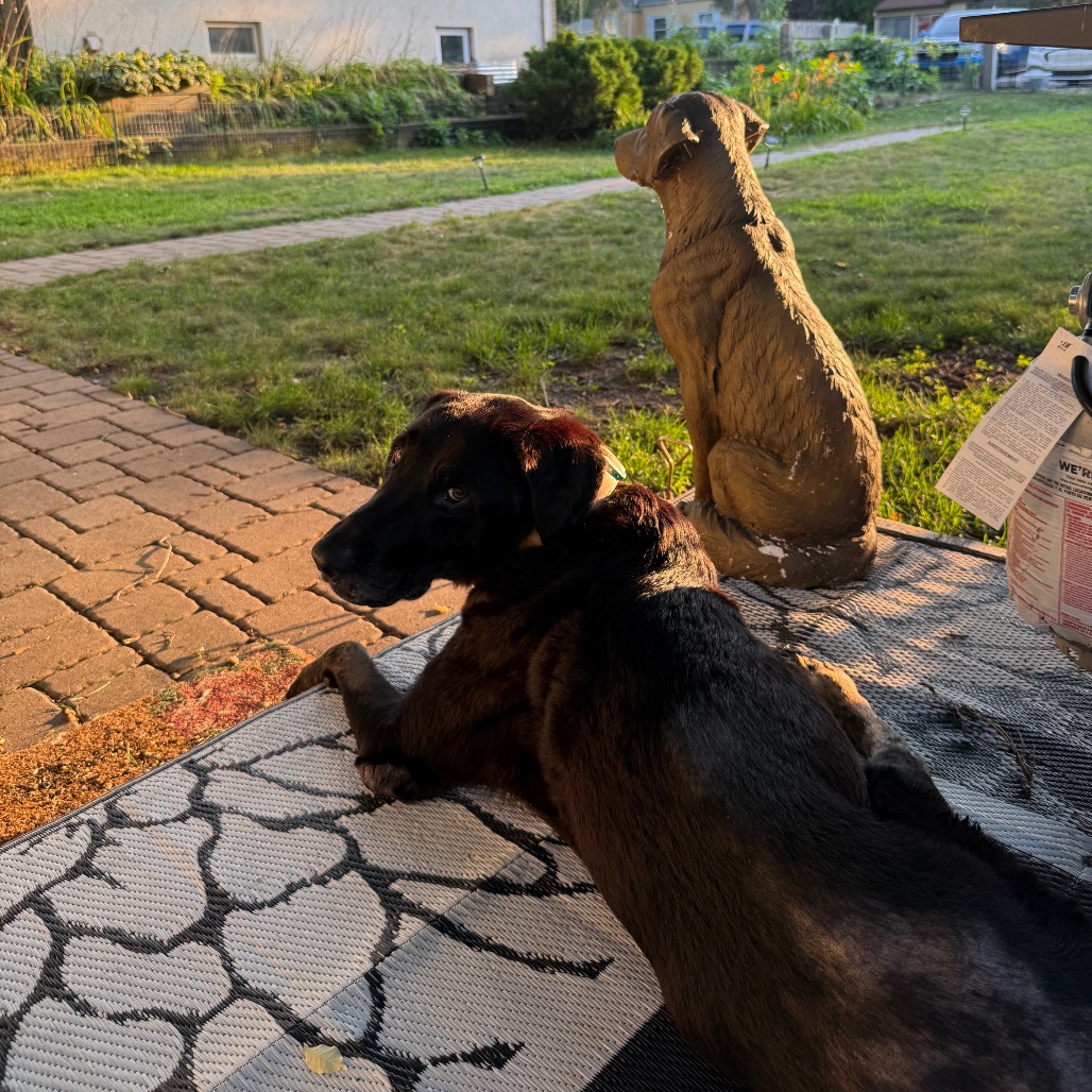 Bodie, photo 14