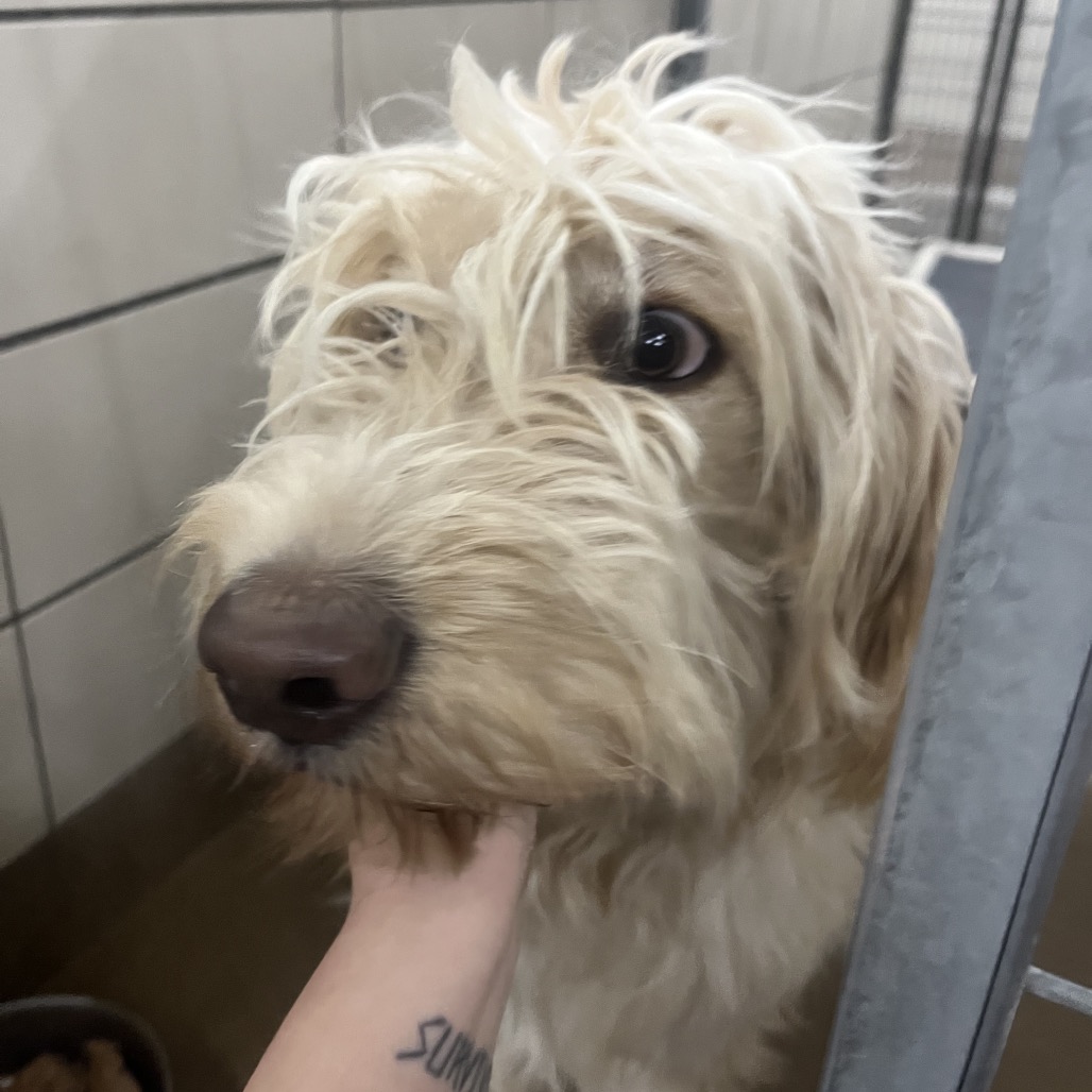 LeeLou — thumbnail 2