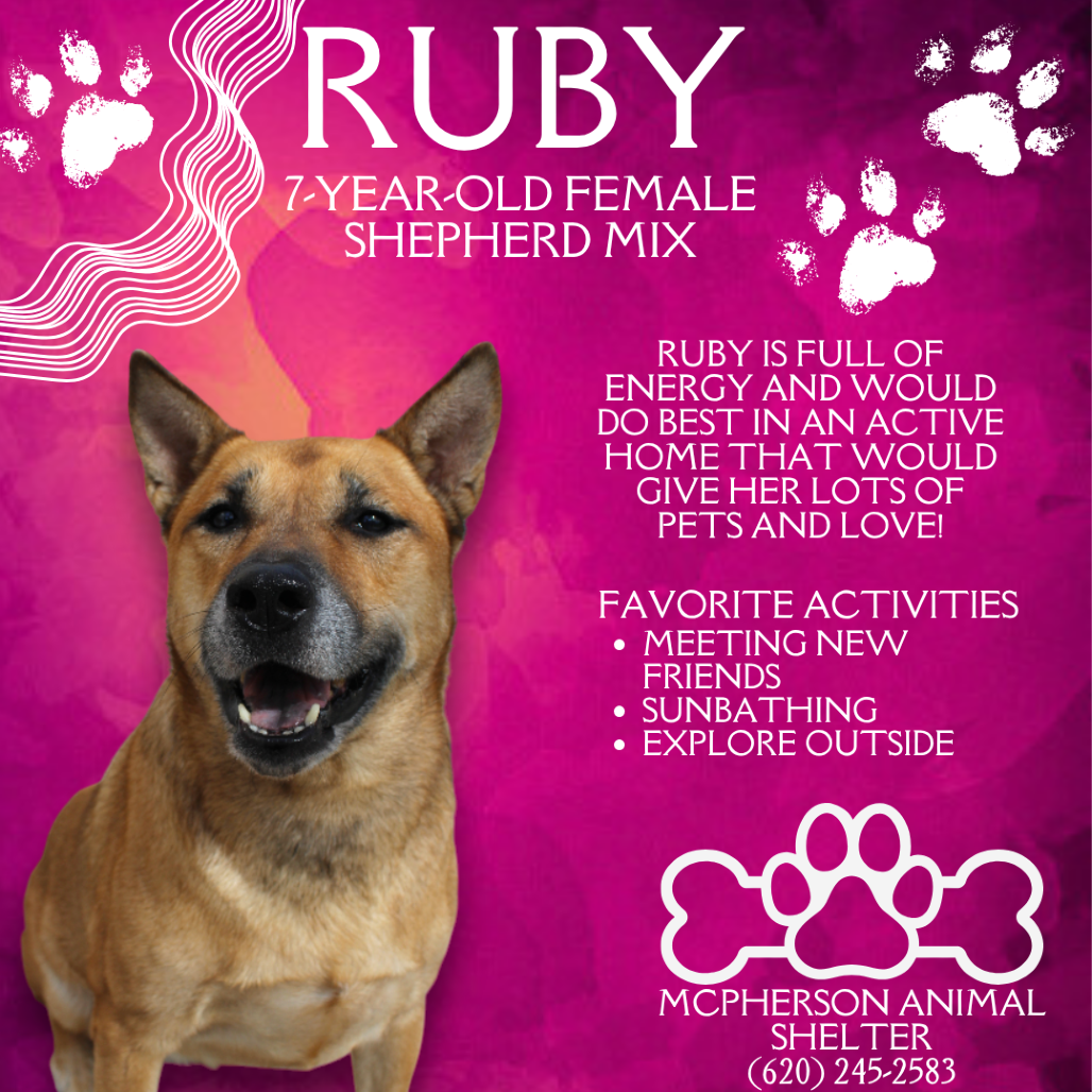 Ruby is available for adoption at McPherson Animal Shelter