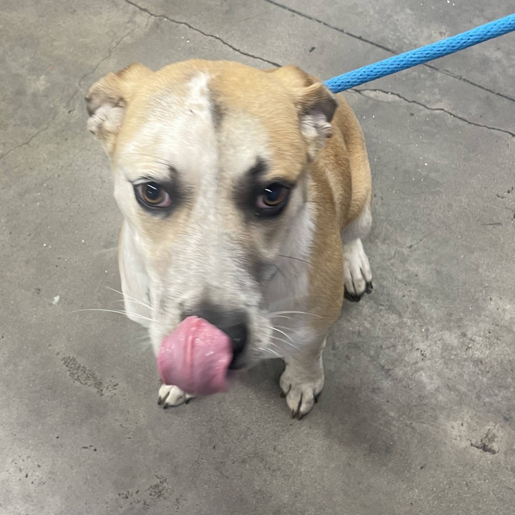 Elisa — thumbnail 4