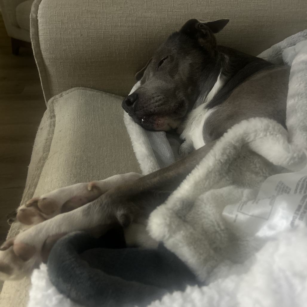 Athena — thumbnail 4