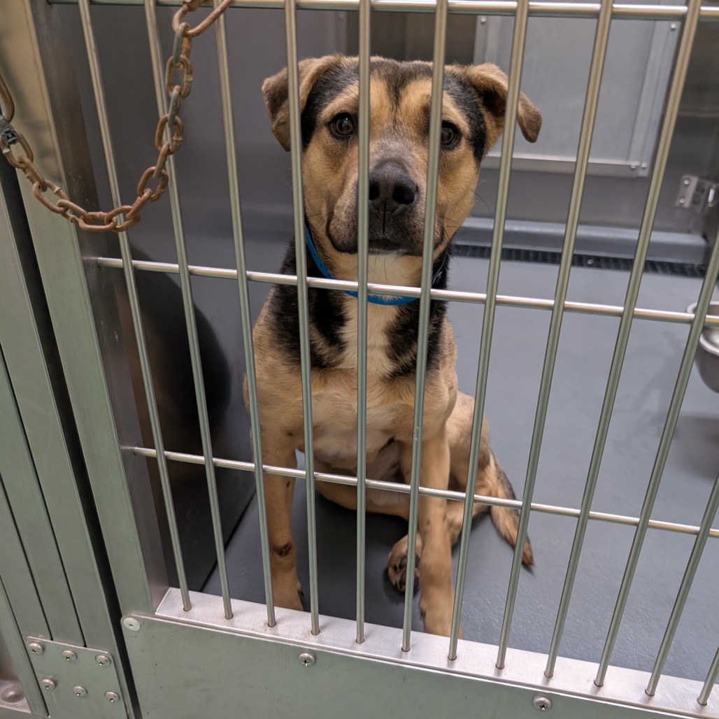 Ridge — thumbnail 7