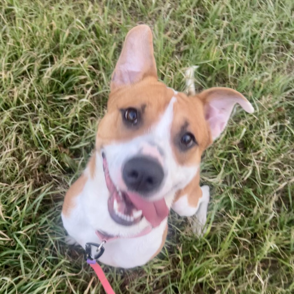 Jason — thumbnail 8