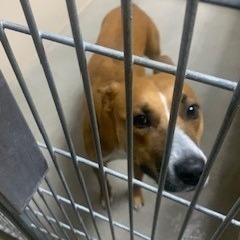 Kennel#18's preview photo