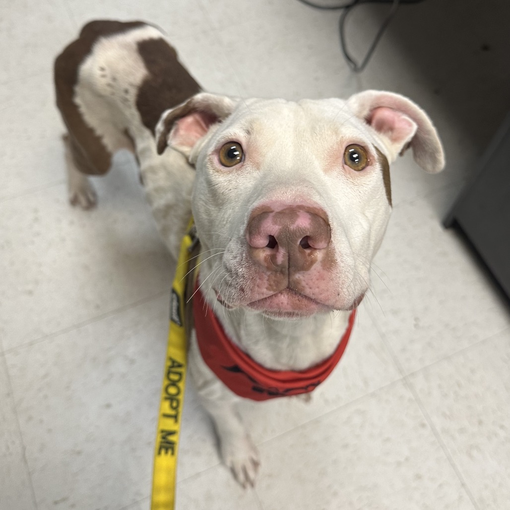 Mika — thumbnail 5