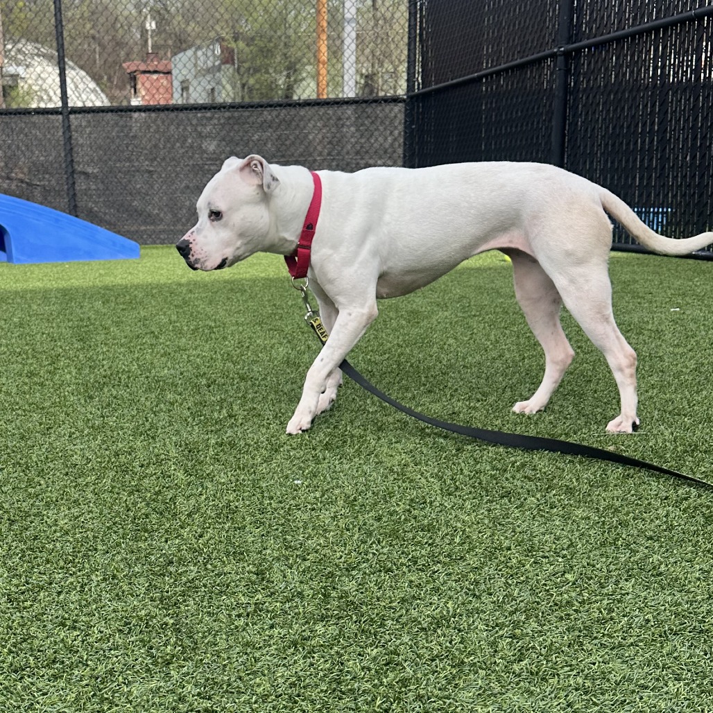 Photo of Betty White 10