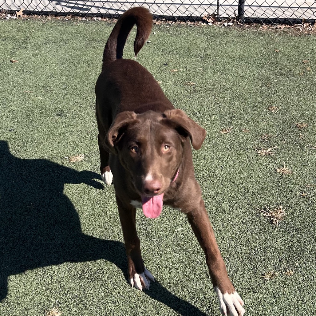 LILLY — thumbnail 3