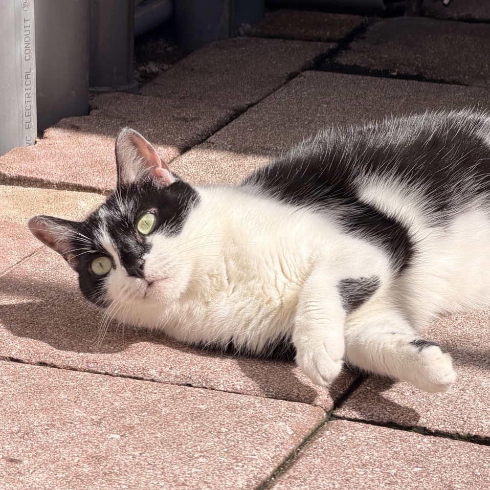 Image of Clause looking at the camera