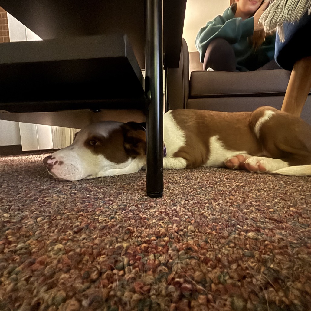 SLEEPY, photo 11