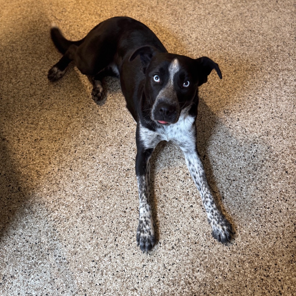 Jane — thumbnail 3