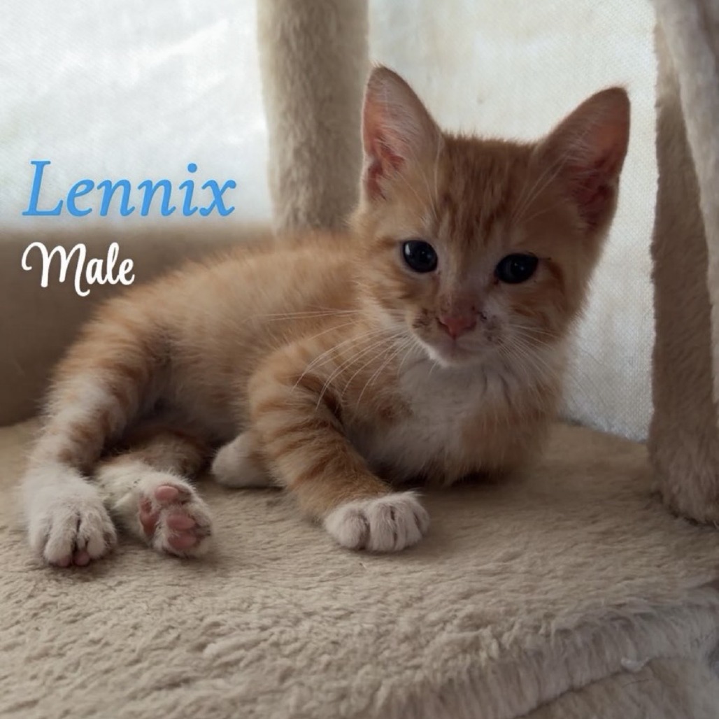 Lennix, adopted