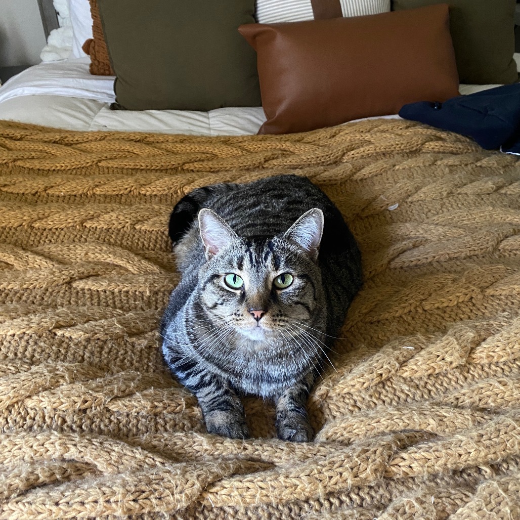 Finn