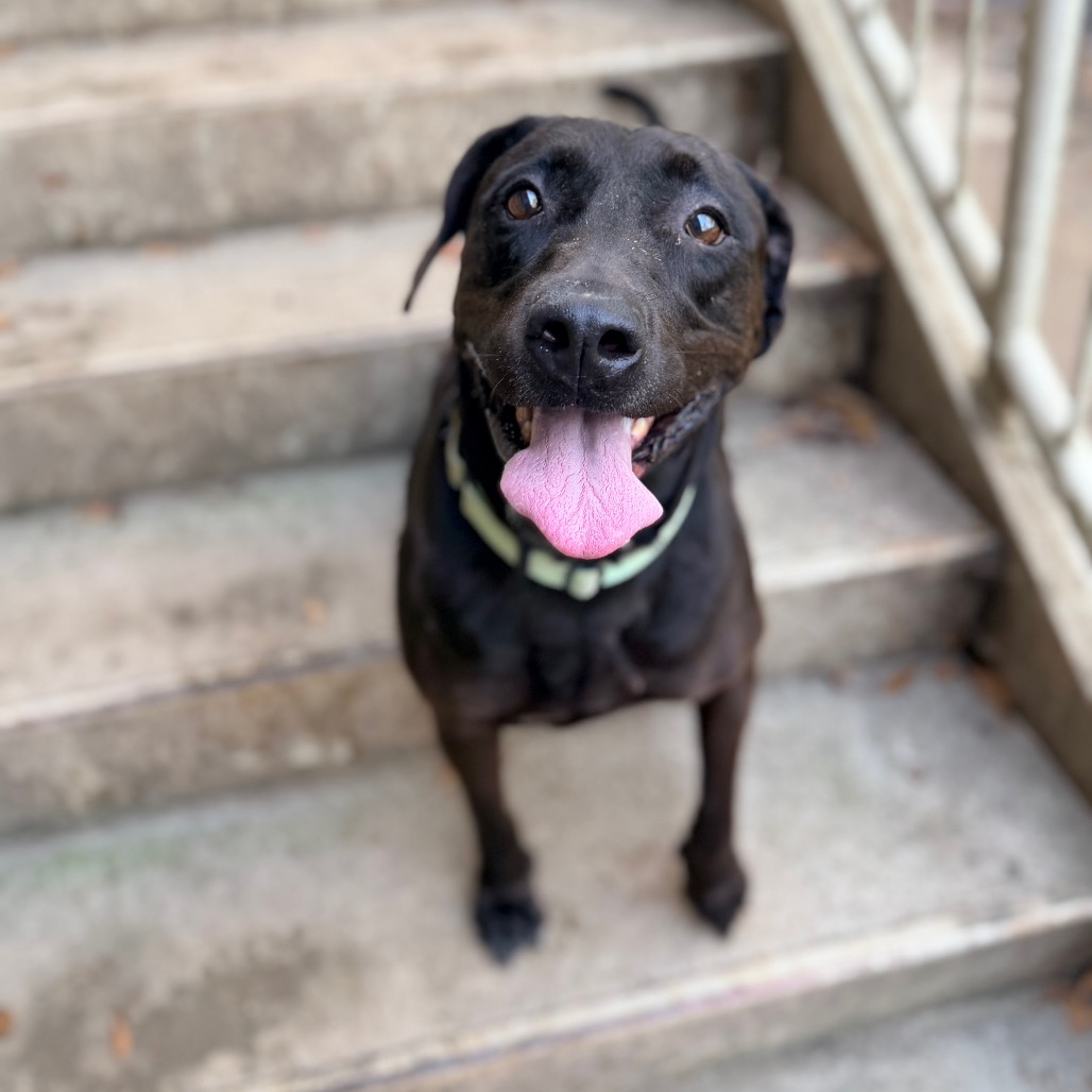 Delilah, photo 6