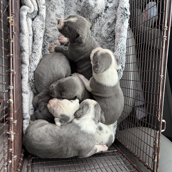 Milky Way — thumbnail 5