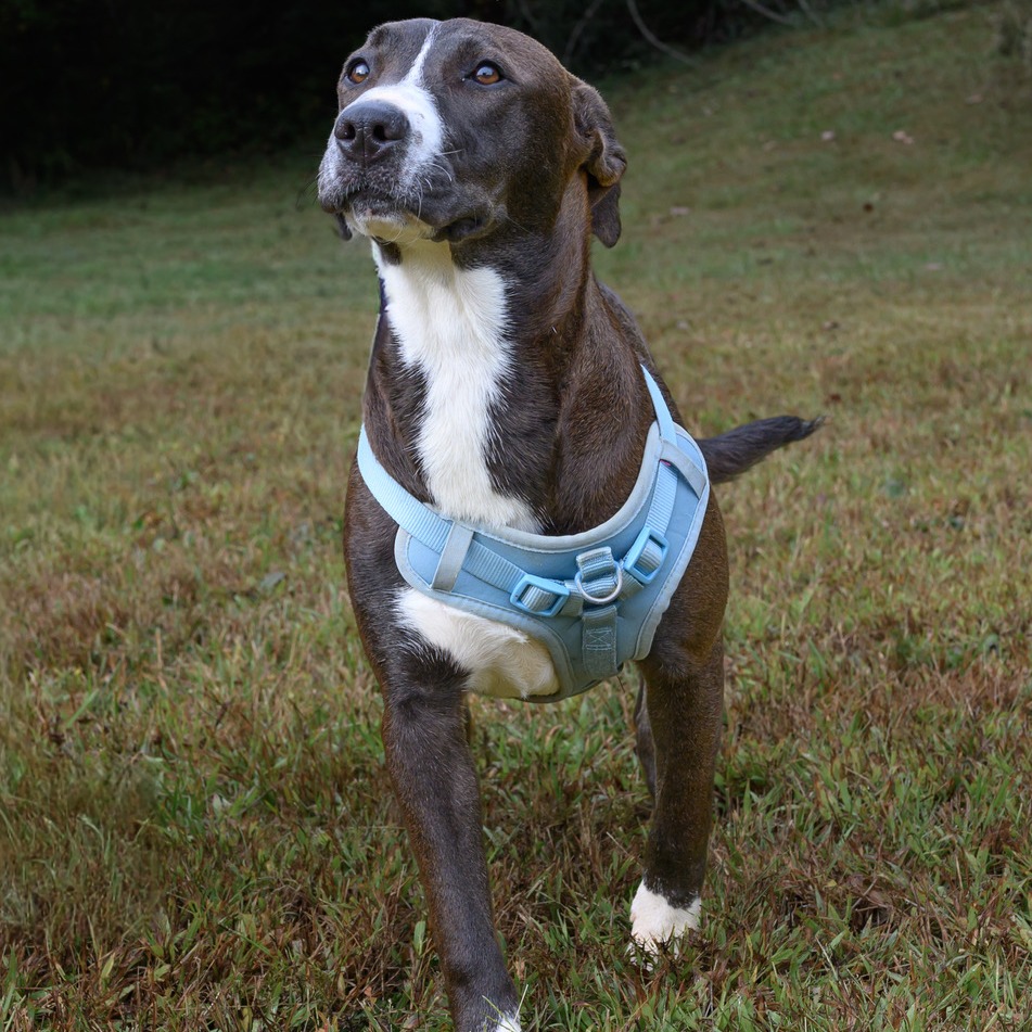 Ruthie, photo 10