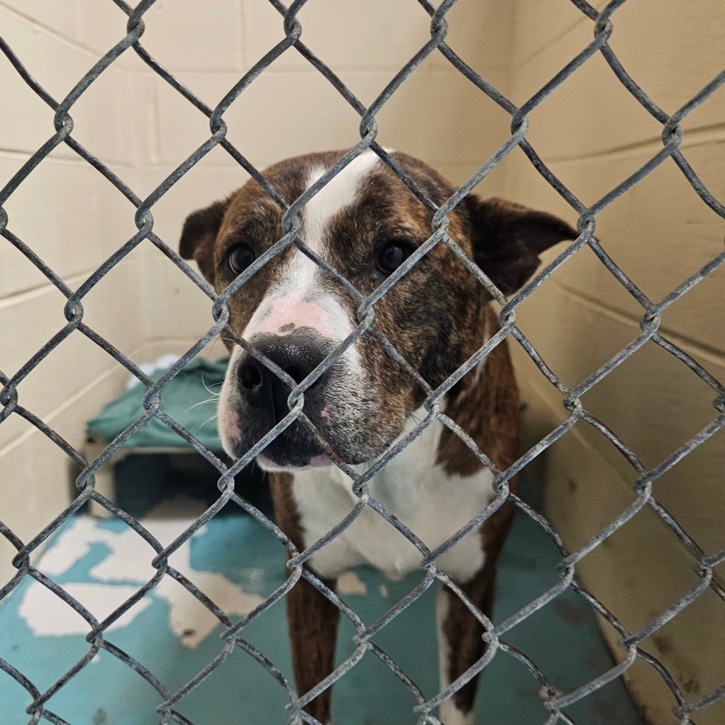 Eloise — thumbnail 2